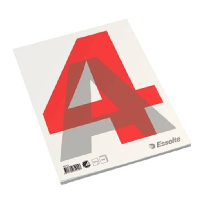 Esselte Kladdebok Limt A4 100 ark ‑ Blank